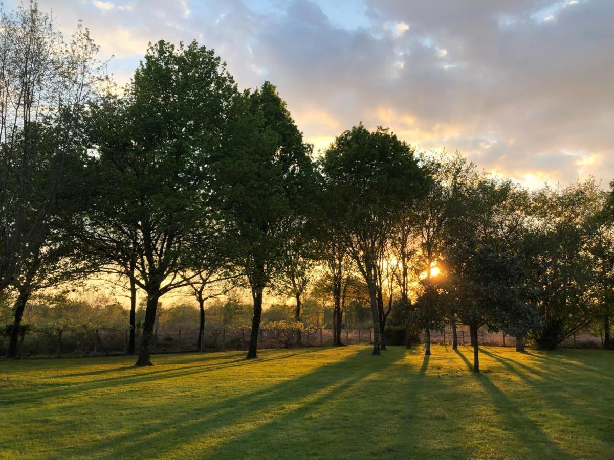Villa La Bergerie Des Landes Lit-et-Mixe Esterno foto