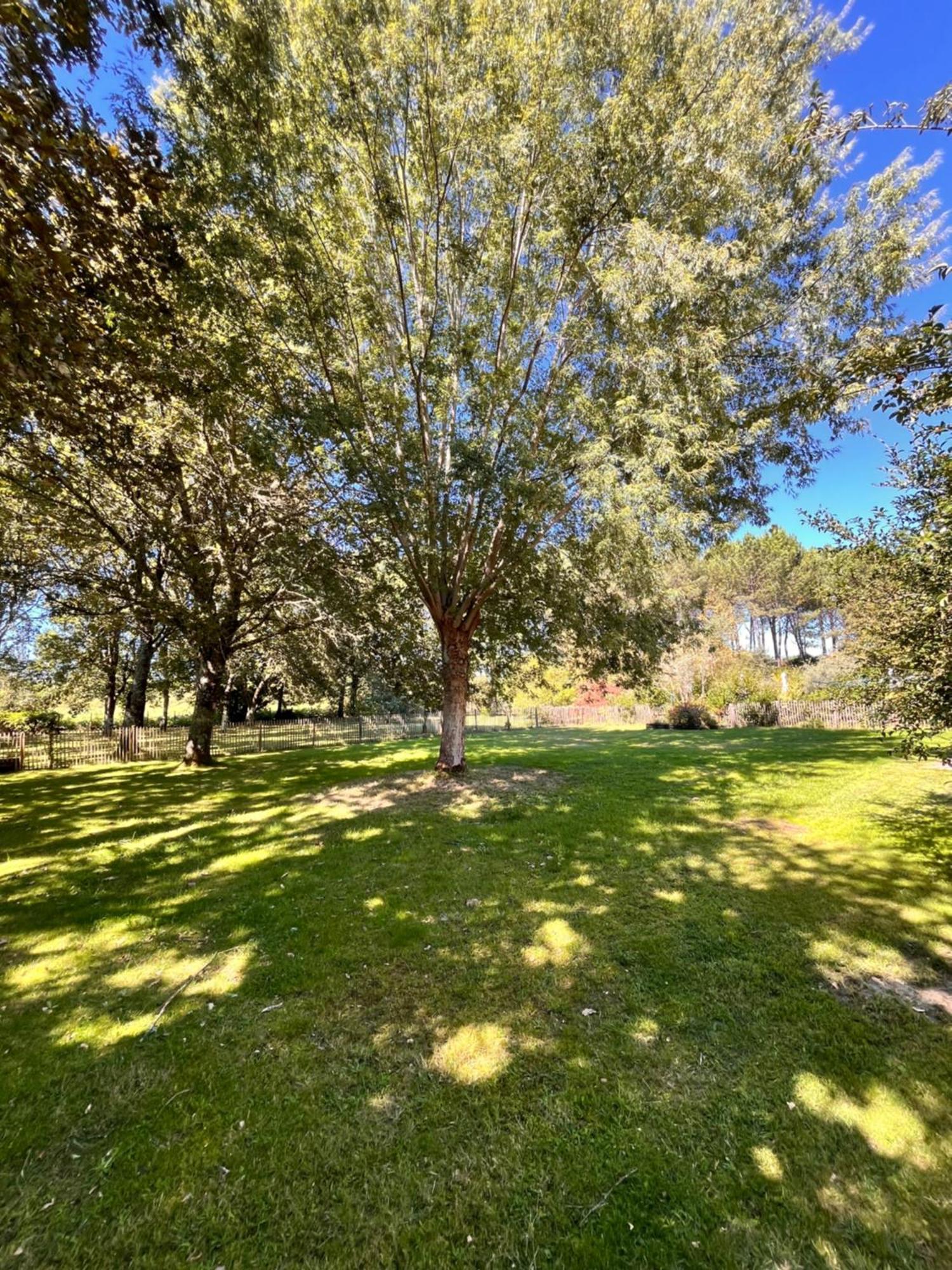 Villa La Bergerie Des Landes Lit-et-Mixe Esterno foto